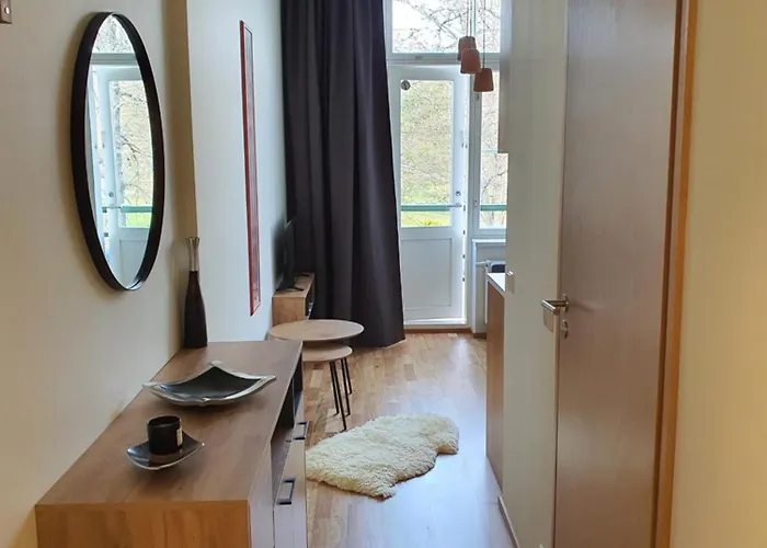 Heermeyer * 派尔努